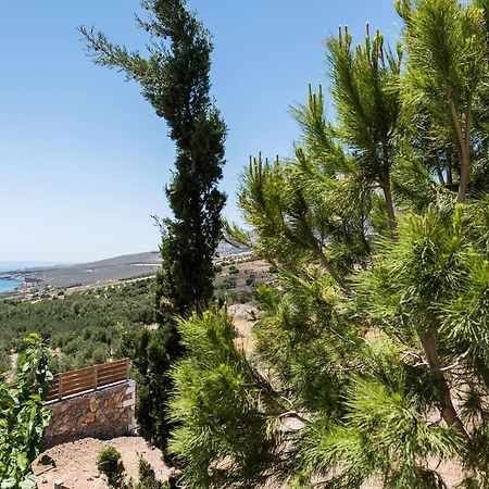 Villa Olvia Sfakiá Exteriér fotografie