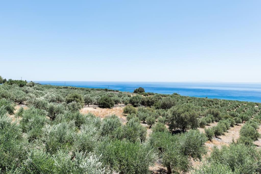Villa Olvia Sfakiá Exteriér fotografie
